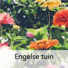 Engelse tuin H.W. Mollema